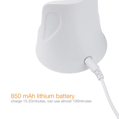 Multifunctional Facial Beauty Device